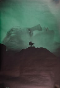 ROSEMARYS BABY VINTAGE HEADSHOP POSTER 1968