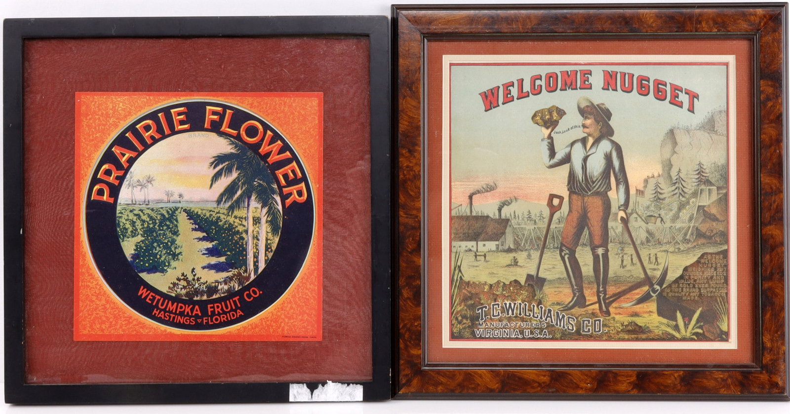 LITHOGRAPH LOT OF 2 PRAIRIE FLOWER GOLDEN NUGGET: T.C. Williams Co. Golden Nugget, framed 14 x 14, image 10 x 10. Prairie Flower, Wetumpka Fruit co, 14 x 14 framed, image 10 x 10 inches, each very good original condition