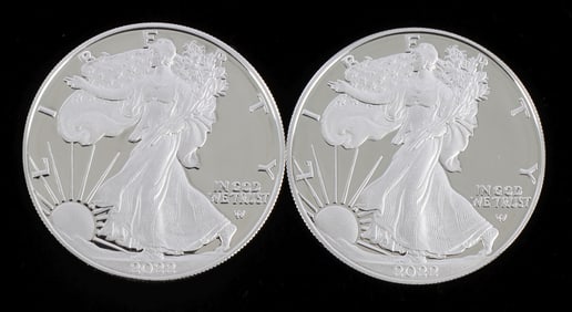 2 2022 SILVER AMERICAN EAGLE 1 OZT PROOF COIN LOT