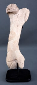 PRECOLUMBIAN TAINO CARVED MANATEE BONE