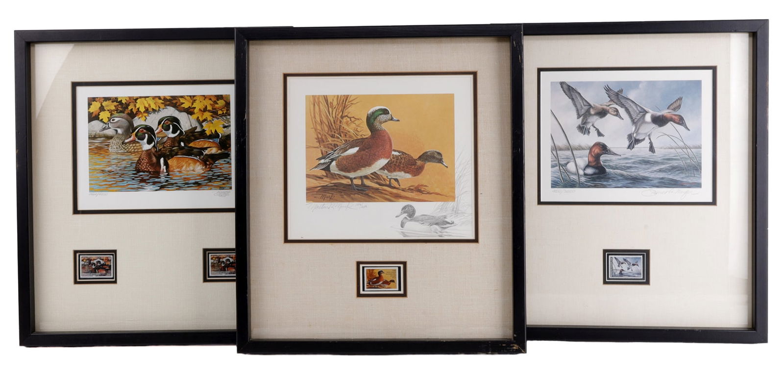 3 MINNESOTE WISCONSIN SIGNED DUCK STAMP PRINT LOT: All framed 16 x 19 inches, images 8 x 10. Artist include 1990 Minnesota James Meger 450/3500, 1980 Wisconsin Artist Martin Murk 126/250, 1984 Minnesota Artist Thomas F. Gross 2602/4200. All very good