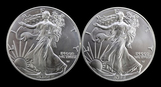 TWO SILVER EAGLES 1 OZT .999 SILVER 2022