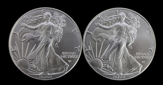 TWO SILVER EAGLES 1 OZT .999 SILVER 2022