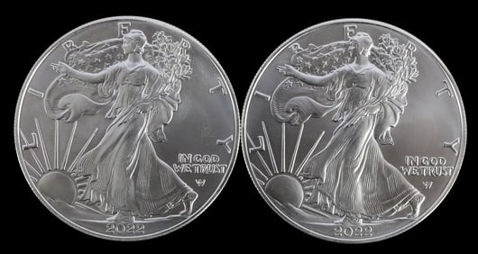 TWO SILVER EAGLES 1 OZT .999 SILVER 2022