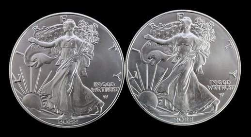 TWO SILVER EAGLES 1 OZT .999 SILVER 2022