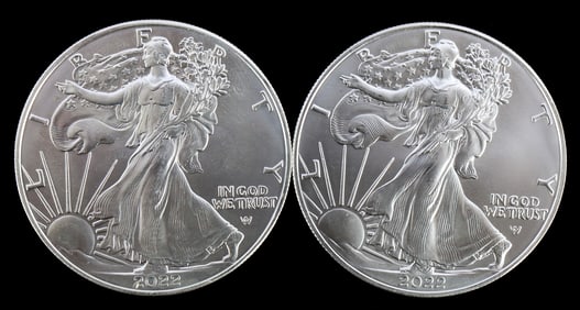 TWO SILVER EAGLES 1 OZT .999 SILVER 2022