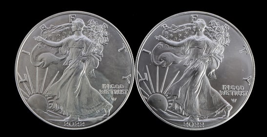 TWO SILVER EAGLES 1 OZT .999 SILVER 2022
