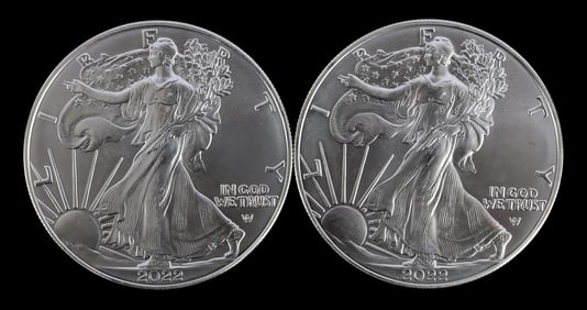 TWO SILVER EAGLES 1 OZT .999 SILVER 2022
