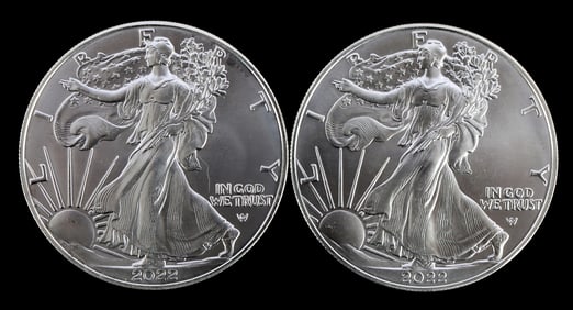 TWO SILVER EAGLES 1 OZT .999 SILVER 2022