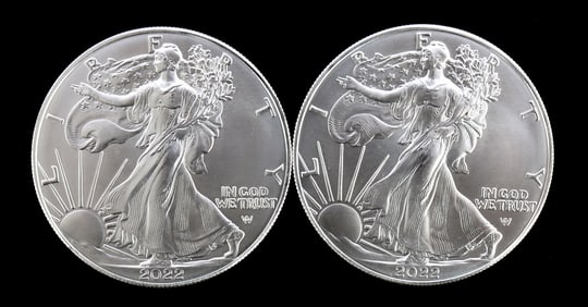 TWO SILVER EAGLES 1 OZT .999 SILVER 2022