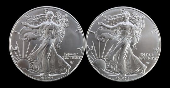 TWO SILVER EAGLES 1 OZT .999 SILVER 2022