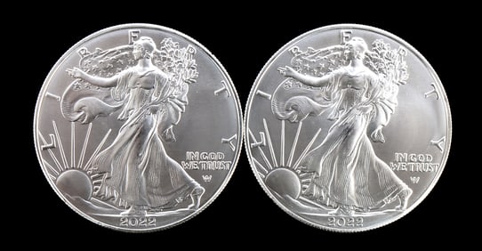 TWO SILVER EAGLES 1 OZT .999 SILVER 2022