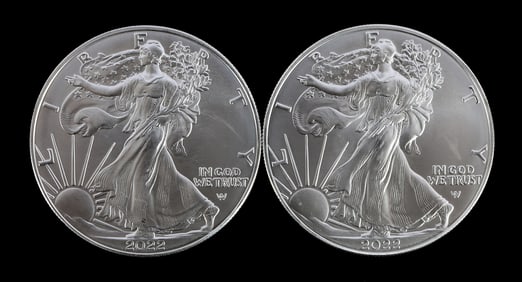 TWO SILVER EAGLES 1 OZT .999 SILVER 2022