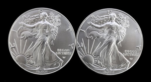 TWO SILVER EAGLES 1 OZT .999 SILVER 2022