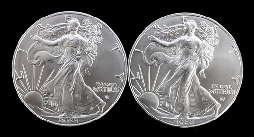 TWO SILVER EAGLES 1 OZT .999 SILVER 2022