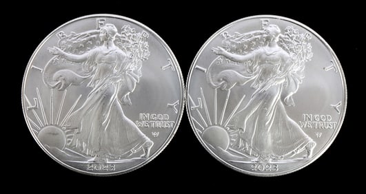 TWO SILVER EAGLES 1 OZT .999 SILVER 2023