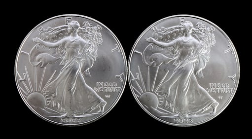 TWO SILVER EAGLES 1 OZT .999 SILVER 2023
