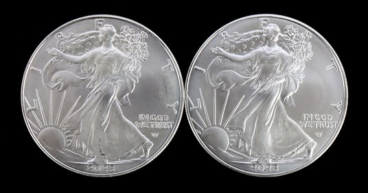 TWO SILVER EAGLES 1 OZT .999 SILVER 2023