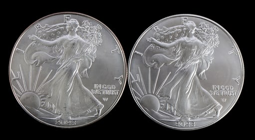 TWO SILVER EAGLES 1 OZT .999 SILVER 2023