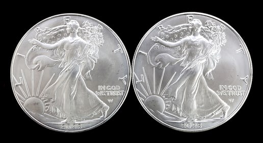 TWO SILVER EAGLES 1 OZT .999 SILVER 2023