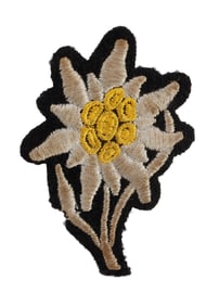 WWII GERMAN SS EDELWEISS CAP BADGE