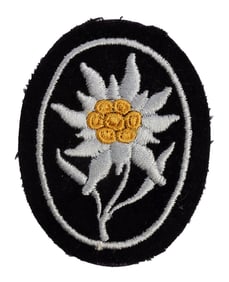 WWII GERMAN SS EDELWEISS SLEEVE BADGE