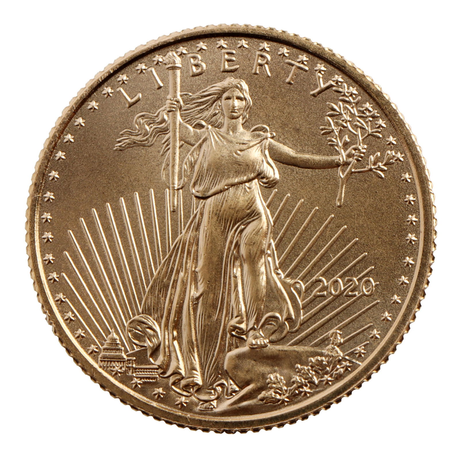 2020 1/10 OUNCE GOLD AMERICAN EAGLE COIN (1 of 2)