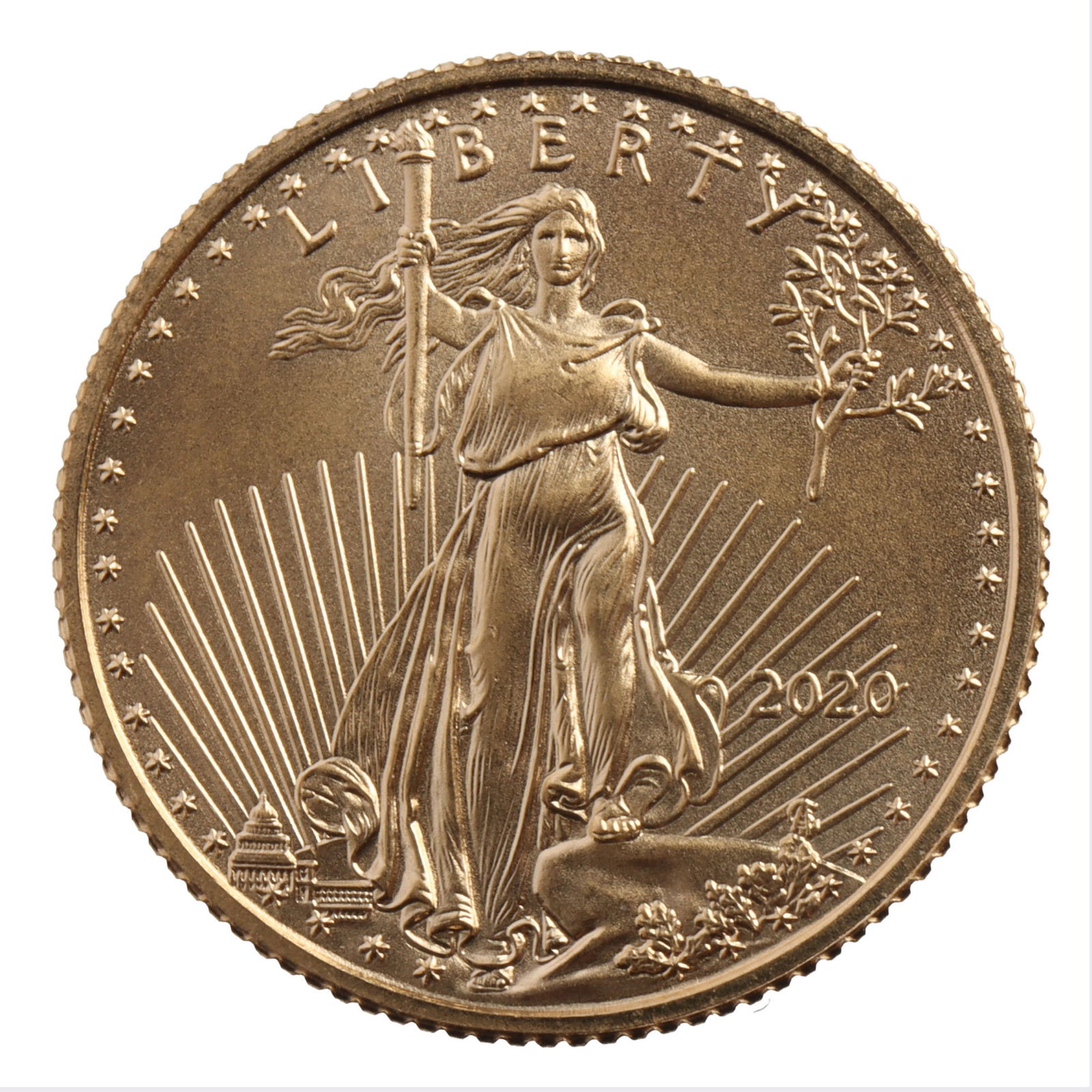 2020 1/10 OUNCE GOLD AMERICAN EAGLE COIN (1 of 2)
