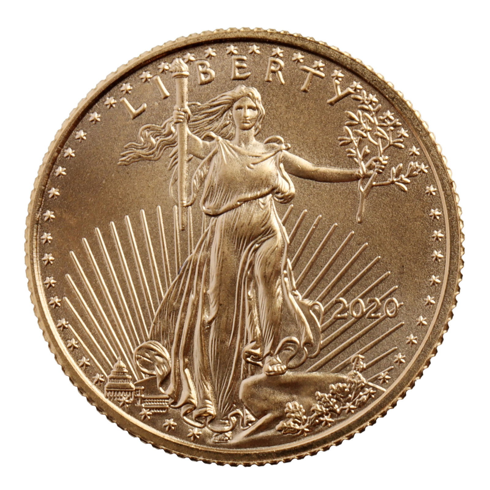 2020 1/10 OUNCE GOLD AMERICAN EAGLE COIN (1 of 2)