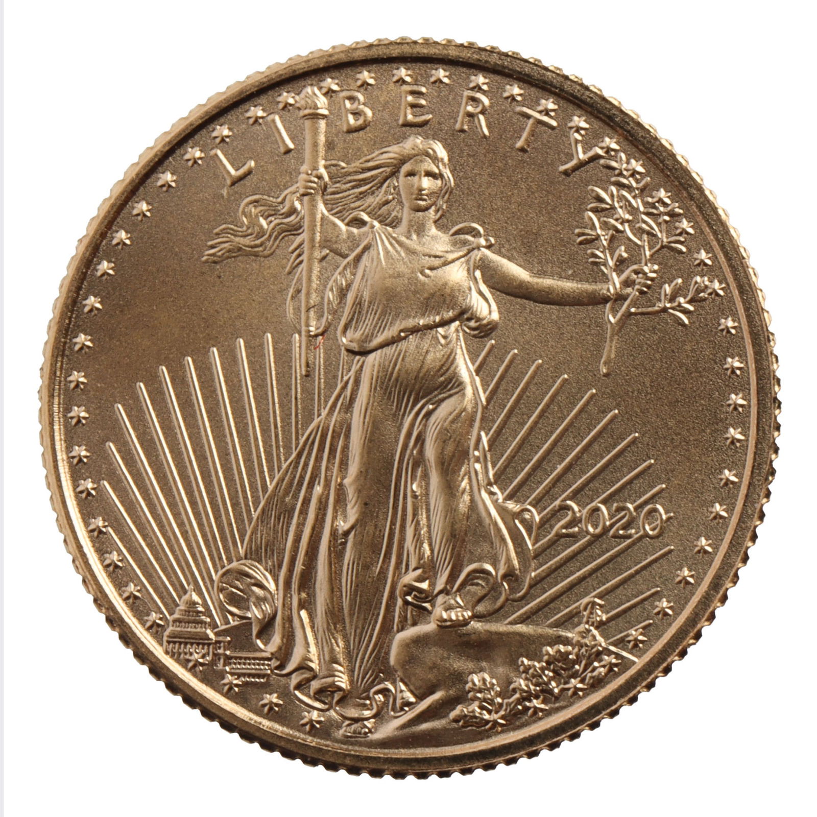2020 1/10 OUNCE GOLD AMERICAN EAGLE COIN (1 of 2)