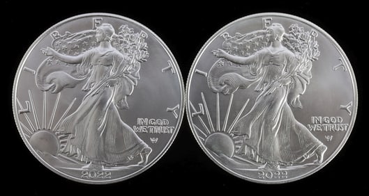 SILVER EAGLES 1 OZT .999 SILVER 2022 LOT 2