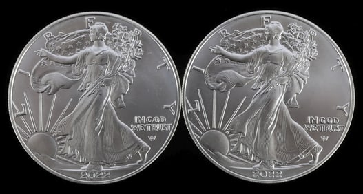 SILVER EAGLES 1 OZT .999 SILVER 2022 LOT 2