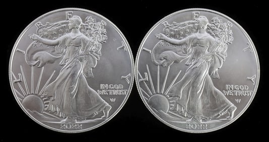 TWO SILVER EAGLES 1 OZT .999 SILVER 2022