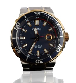 CITIZEN ENDEAVOR ECO-DRIVE BLUE DIAL WATCH 45MM