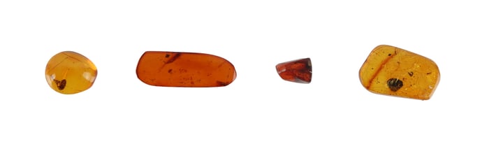 AMBER STONES WITH UNIQUE INCLUSIONS LOT OF 4