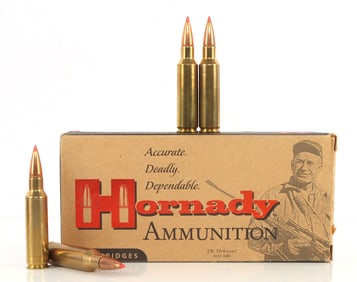 20 ROUNDS .300 RCM 180GR SST HORNADY CUSTOM