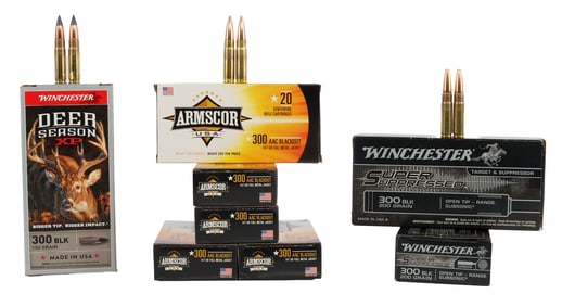 160 RDS .300 AAC BLACKOUT RANGE & HUNTING AMMO