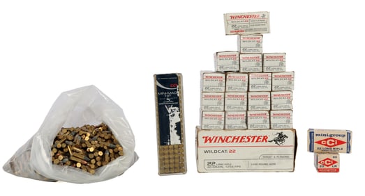 2500+ ROUNDS .22 LR WINCHESTER CCI RIMFIRE AMMO