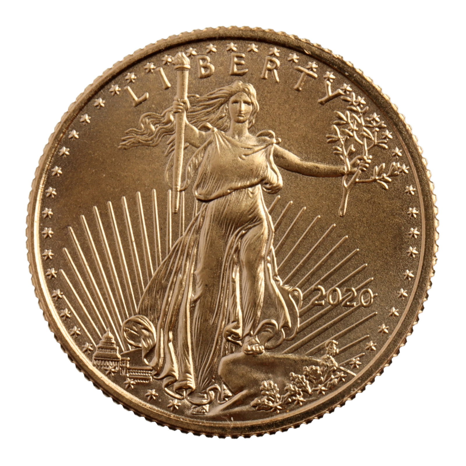 2020 1/10 OUNCE GOLD AMERICAN EAGLE COIN (1 of 2)