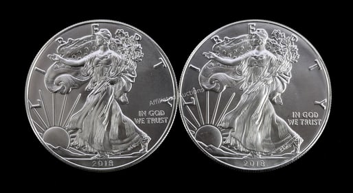 2 ONE OUNCE AMERICAN SILVER EAGLES 2018