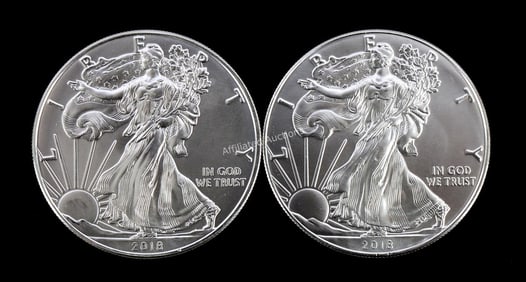 2 ONE OUNCE AMERICAN SILVER EAGLES 2018