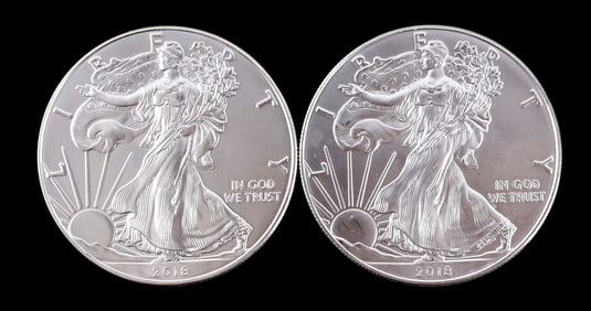 2 ONE OUNCE AMERICAN SILVER EAGLES 2018
