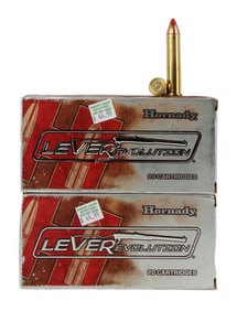 80 ROUNDS 45-70 GOVT 325GR FTX HORNADY