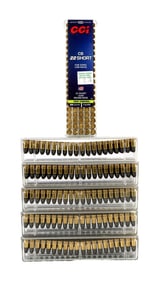 100 ROUNDS .22 SHORT 29GR CCI PEST CONTROL