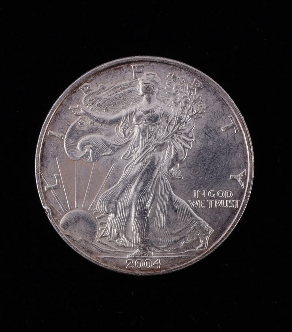 US SILVER EAGLE WALKING LIBERTY 1 OZT FINE SILVER (1 of 2)