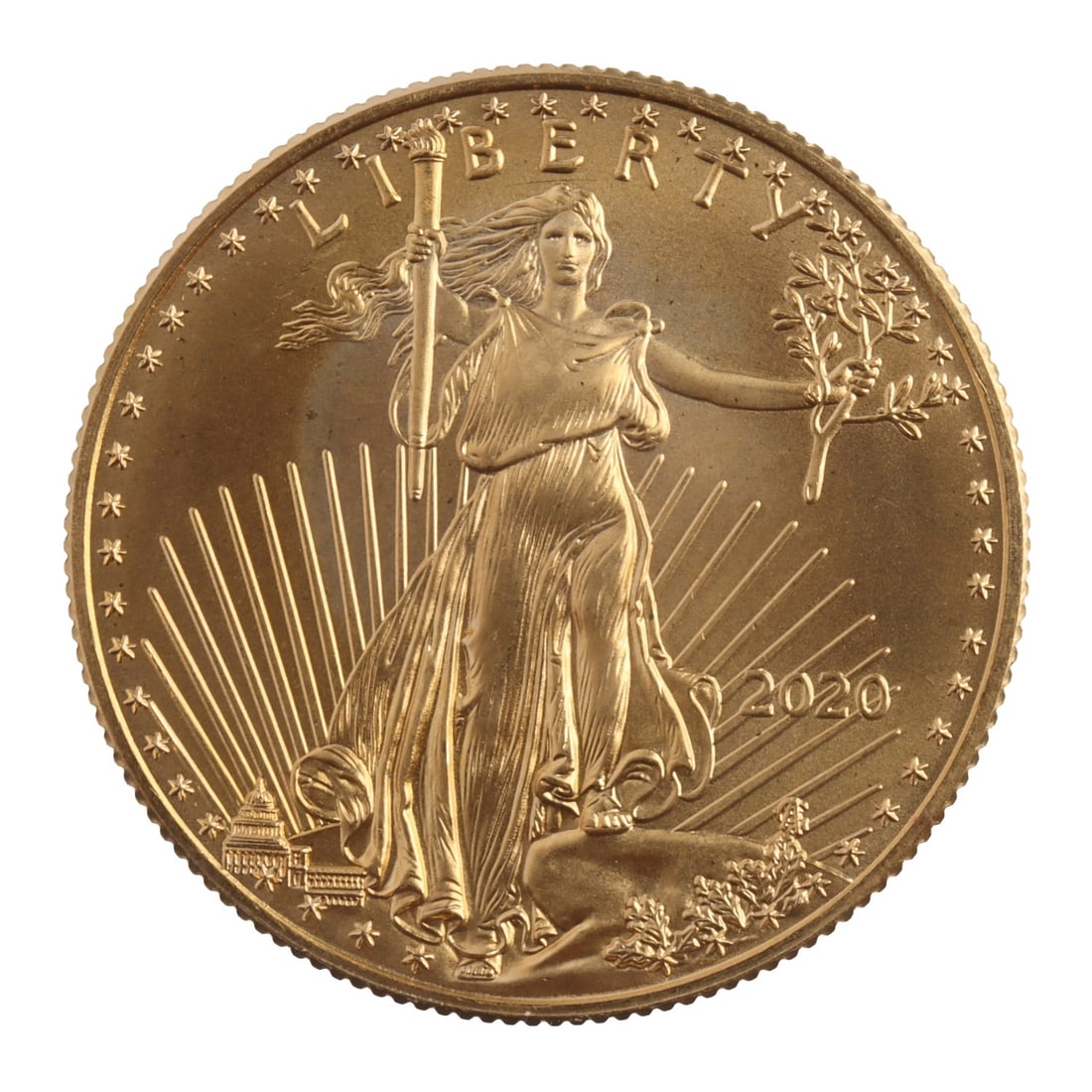 2020 HALF OUNCE GOLD AMERICAN EAGLE (1 of 2)
