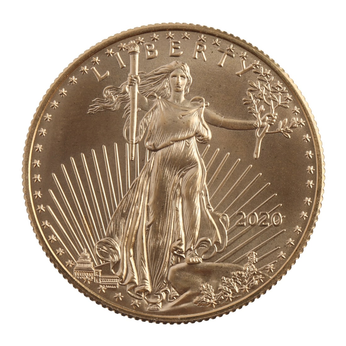 2020 HALF OUNCE GOLD AMERICAN EAGLE (1 of 2)