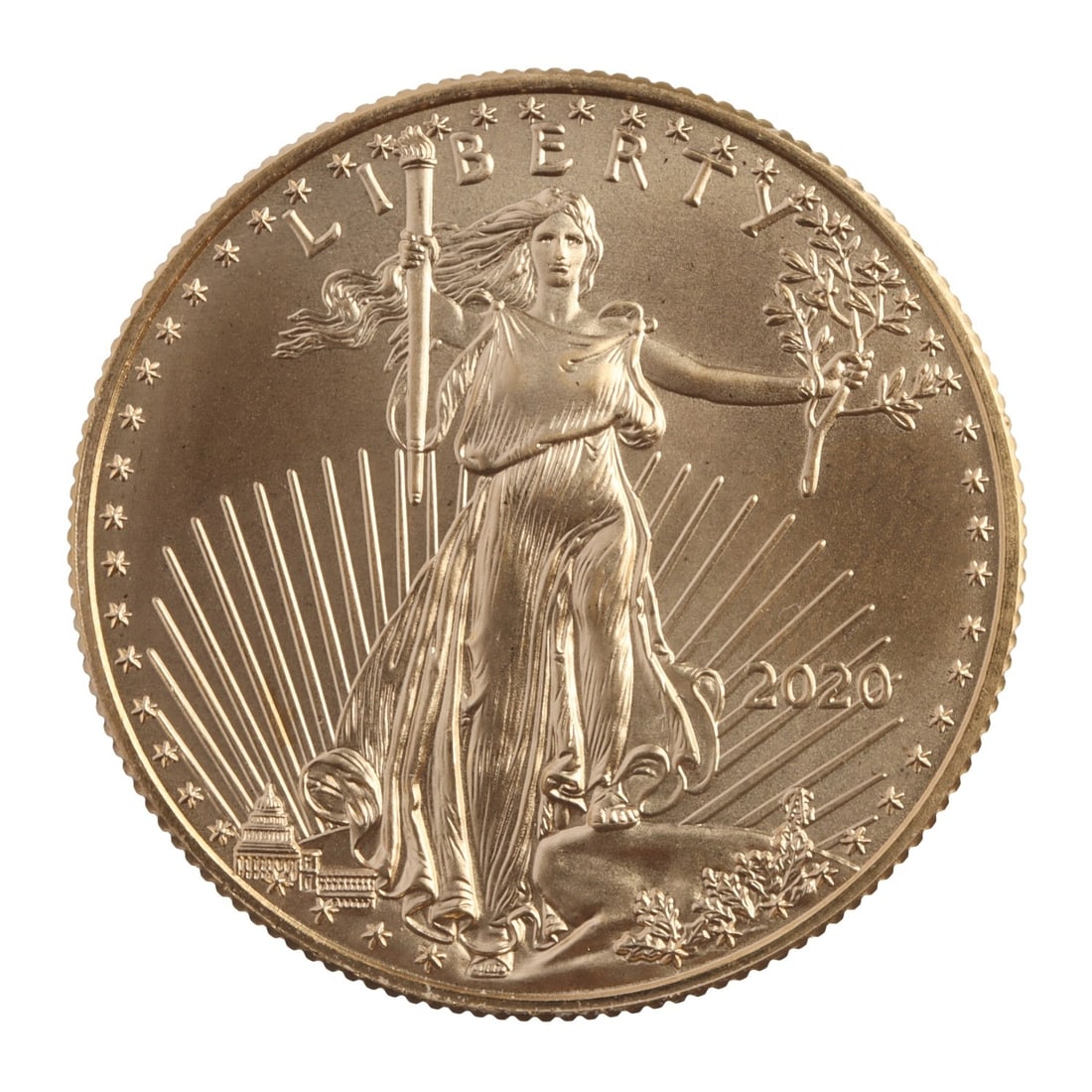 2020 HALF OUNCE GOLD AMERICAN EAGLE (1 of 2)