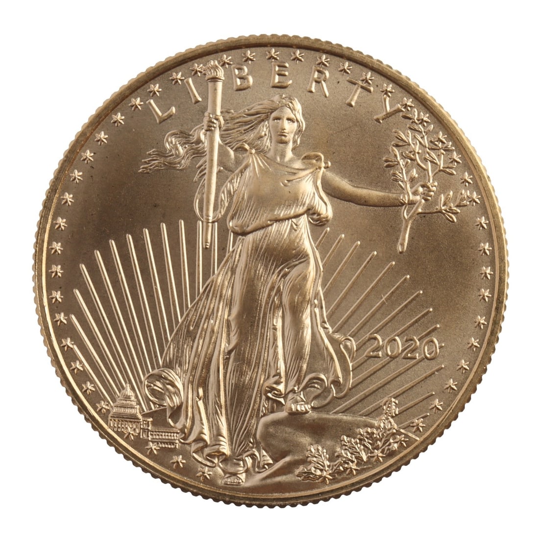 2020 HALF OUNCE GOLD AMERICAN EAGLE (1 of 2)