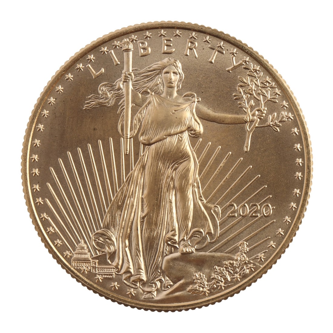 2020 HALF OUNCE GOLD AMERICAN EAGLE (1 of 2)